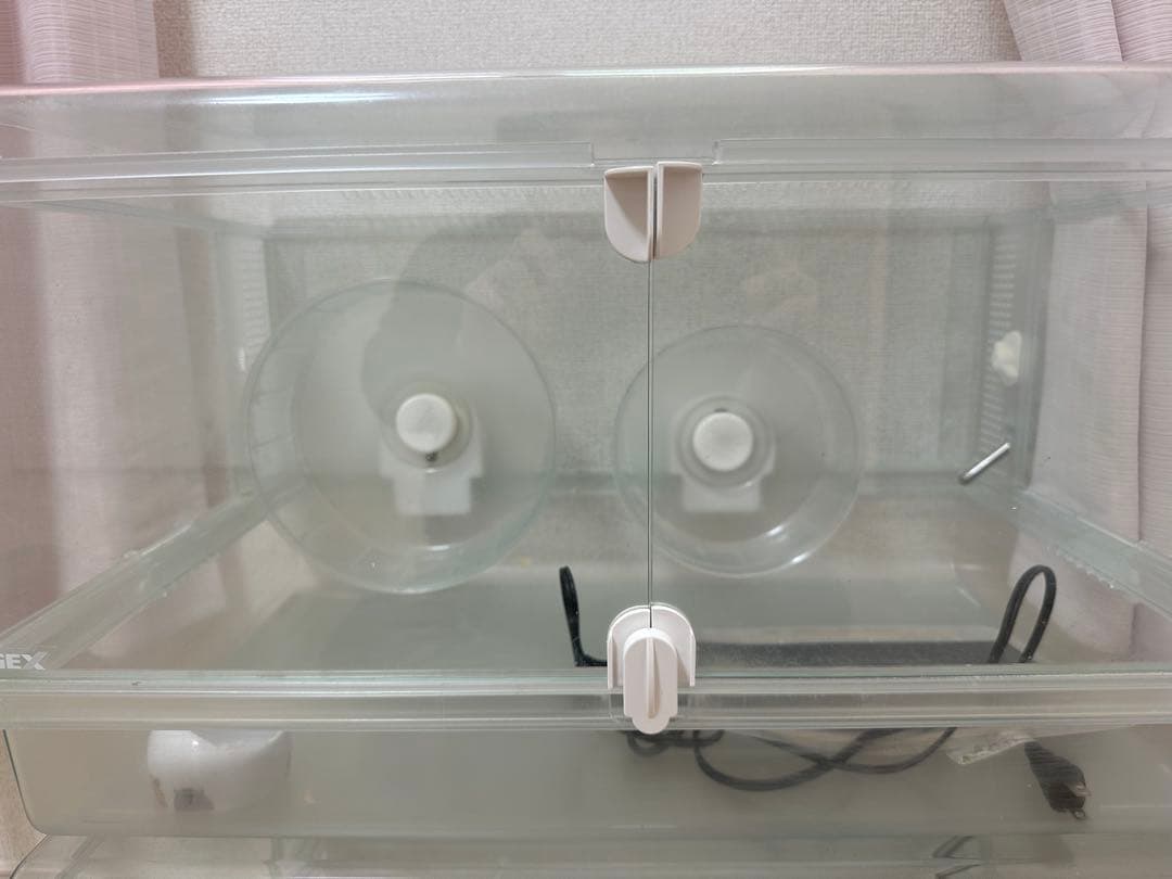 グラスハーモニー600×2