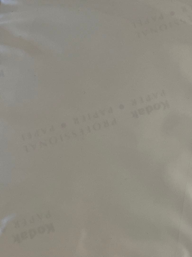 貴重作品　森村泰昌　オリジナルプリント　検）金子国義　ベルメール　荒木経惟