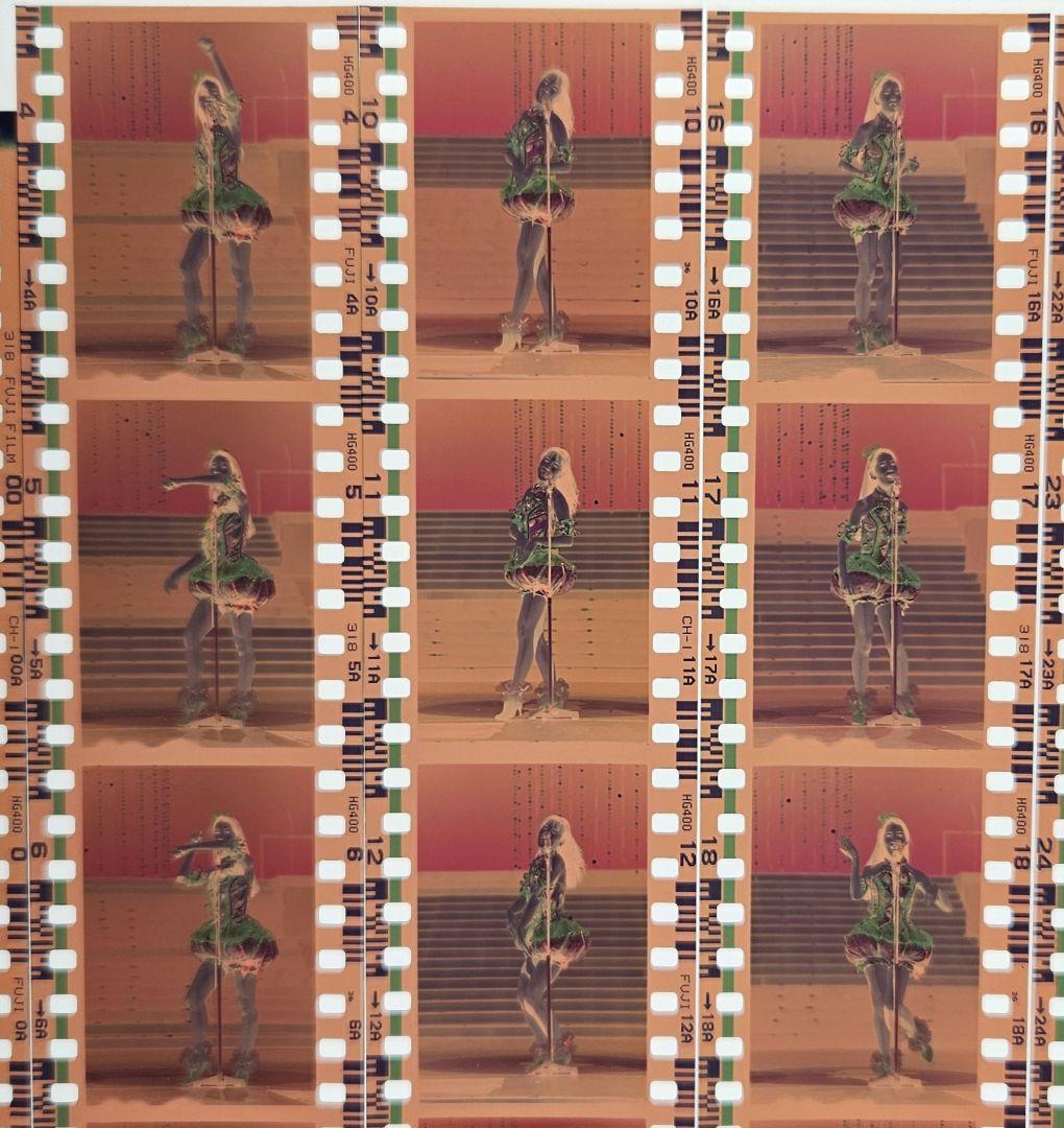 1395ピンクレディーネガフィルム36コマ