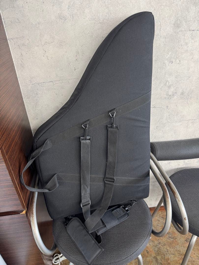 即演奏可能　ヘルマンハープ　ローレライダイヤモンド　Lタイプ　フルセット