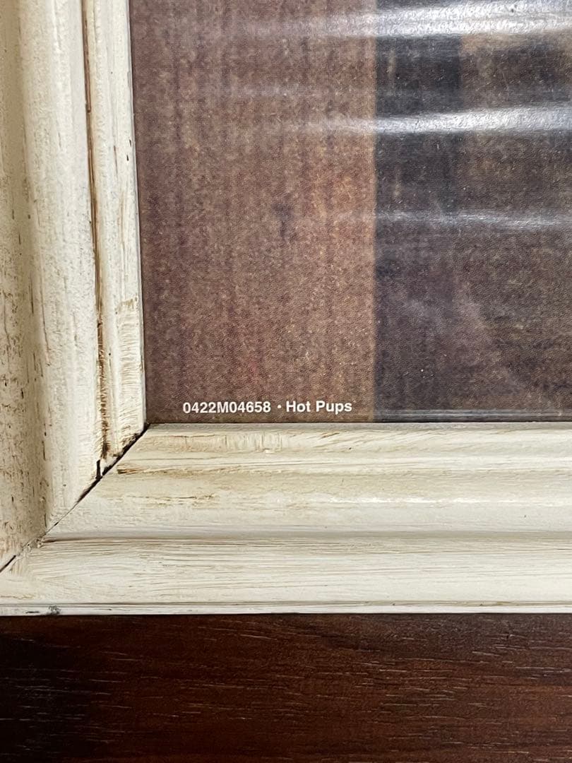 ゴールデンレトリバー 子犬 ポスター 木製フレーム ロングフレーム イタリー製