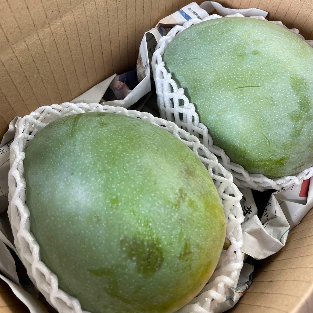 【ラスト1点‼︎】今季終了／キーツマンゴー2玉入り3kg