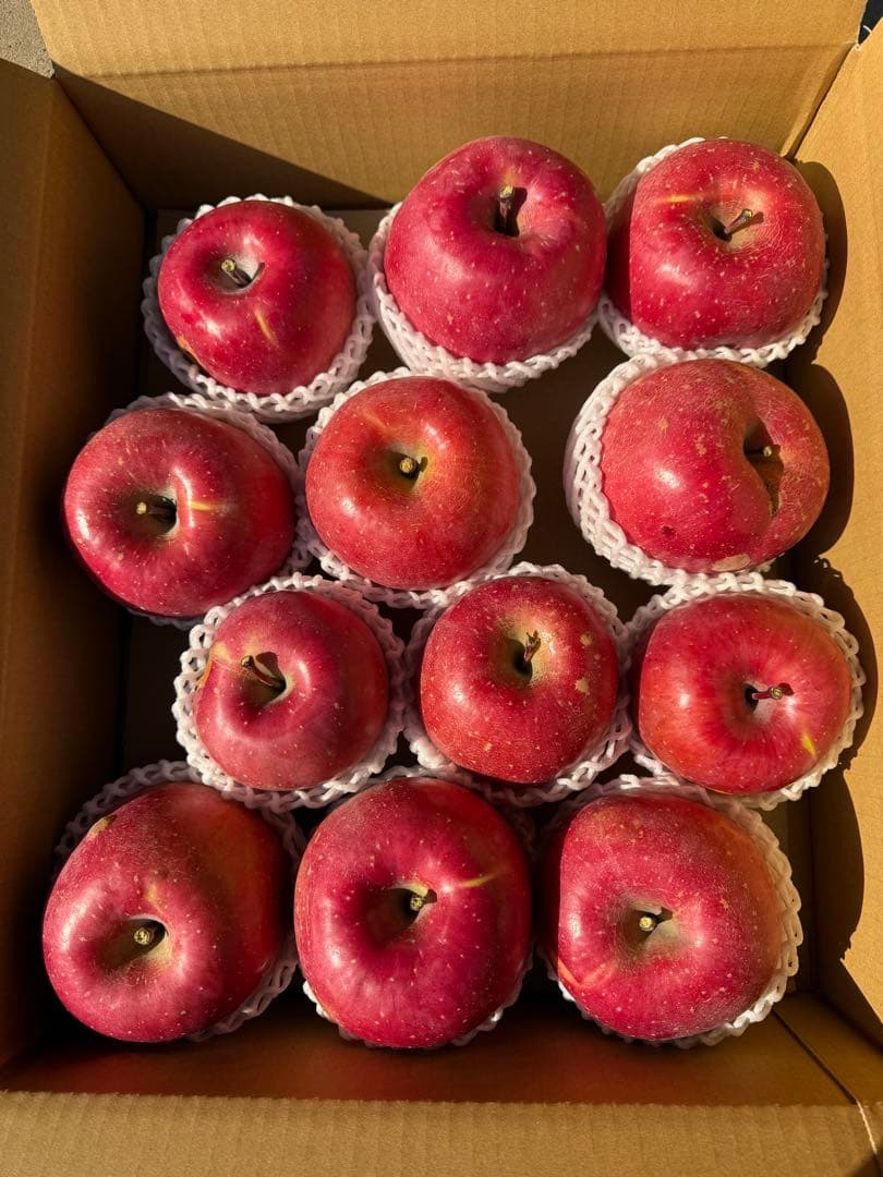 【すみちゃん】長野県産サンふじ　5kg×3箱