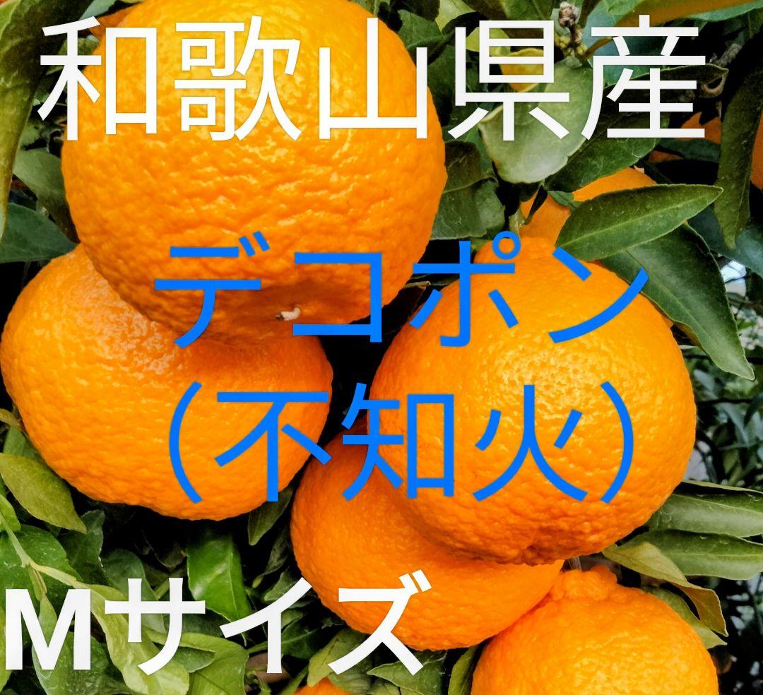 ゆっこ612　デコポン（不知火）和歌山県産　20キロ