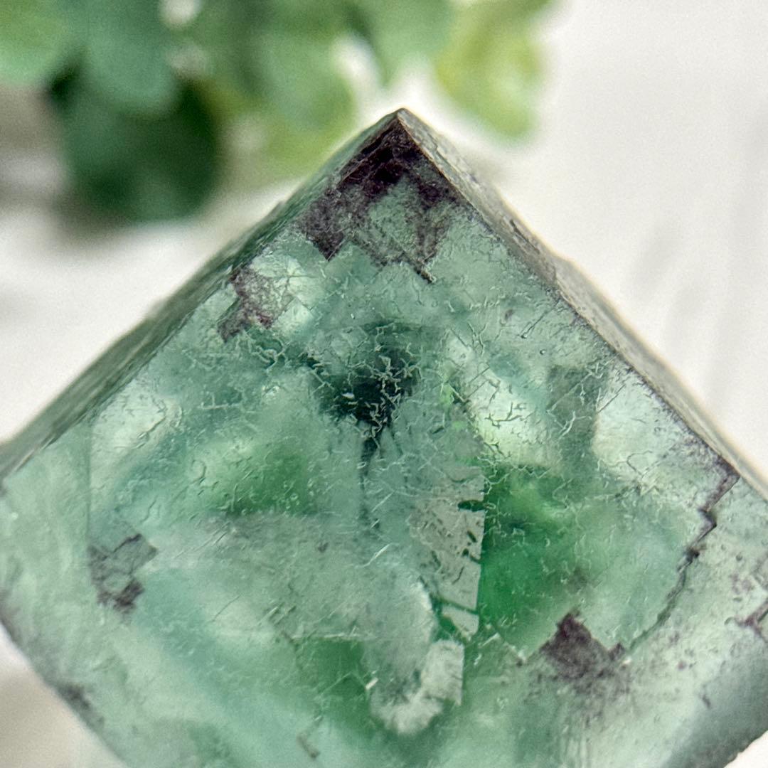 【D288】大きな結晶とゾーニング・.。*・ グリーンフローライト ナミビア