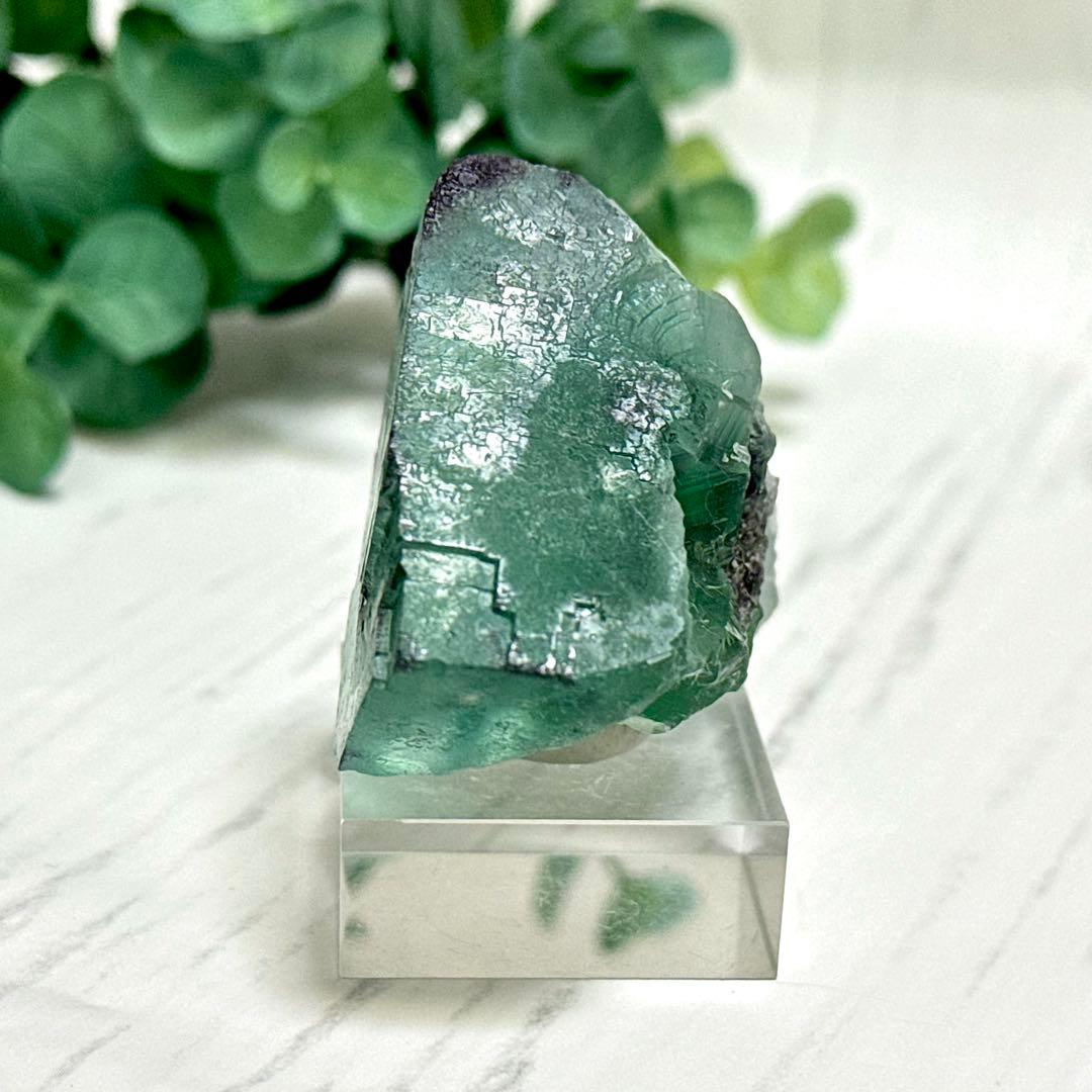 【D288】大きな結晶とゾーニング・.。*・ グリーンフローライト ナミビア