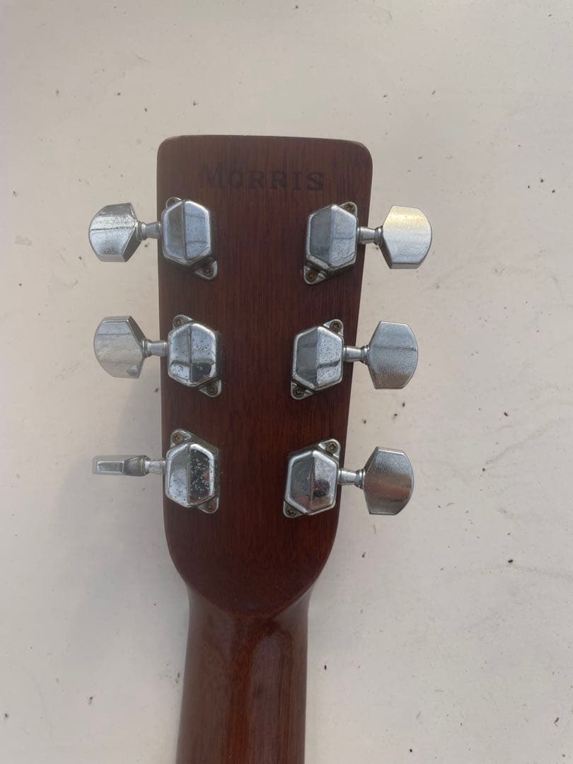 Morris W-20ギター