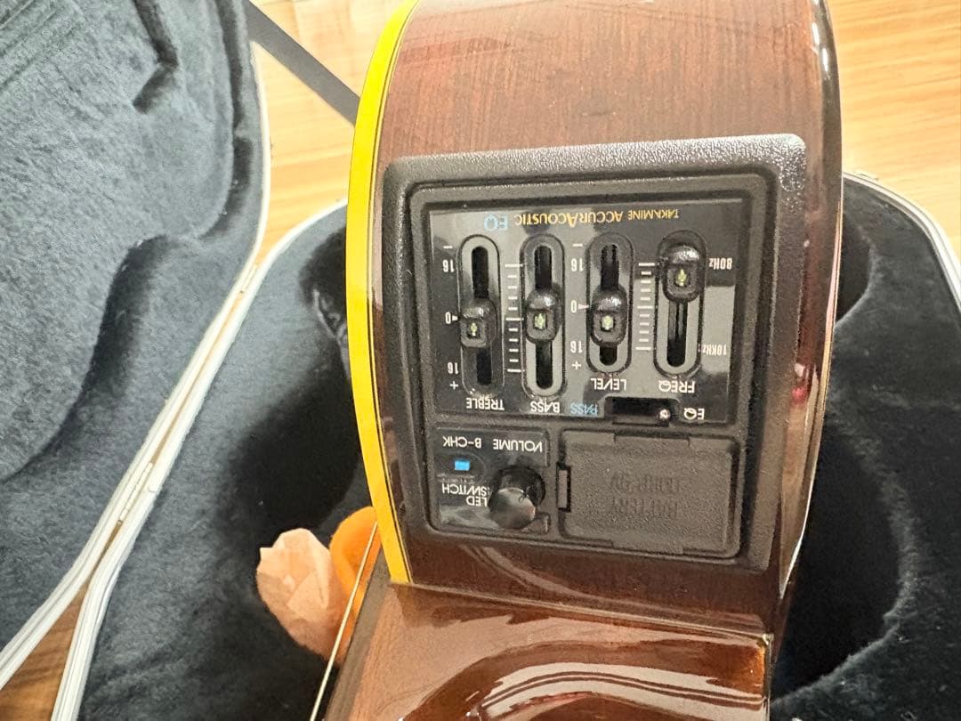 Takamine エレガットギター カッタウェイ希少ケース付き