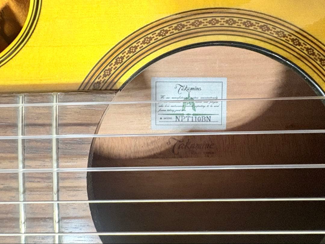 Takamine エレガットギター カッタウェイ希少ケース付き