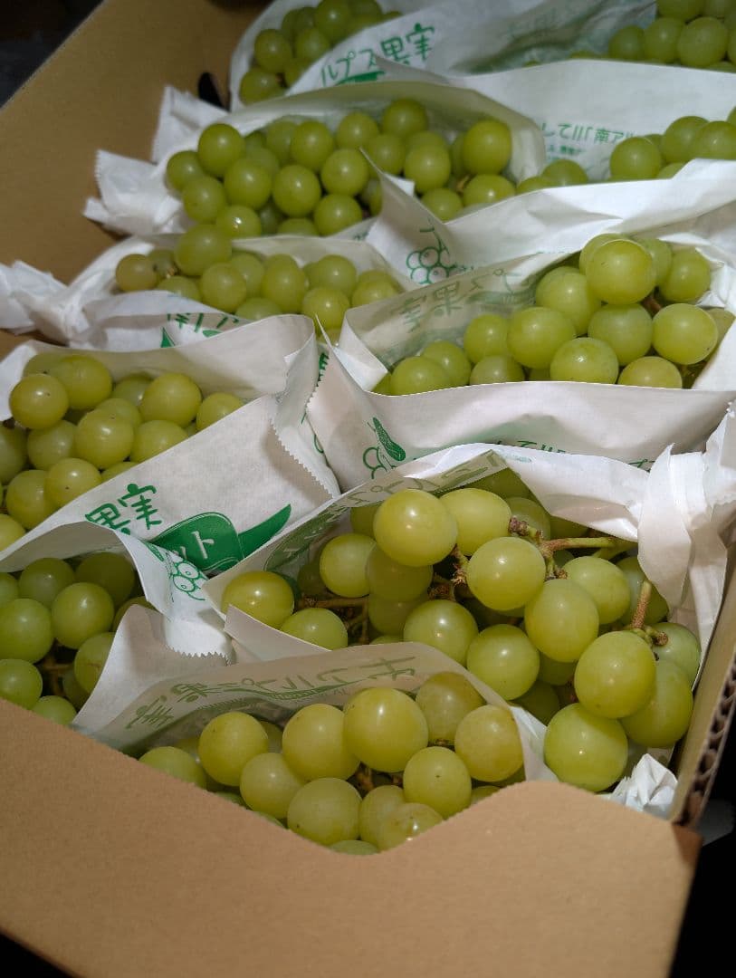 山梨県産ぶどう　シャインマスカット　10房入り　箱込み約5.6kg