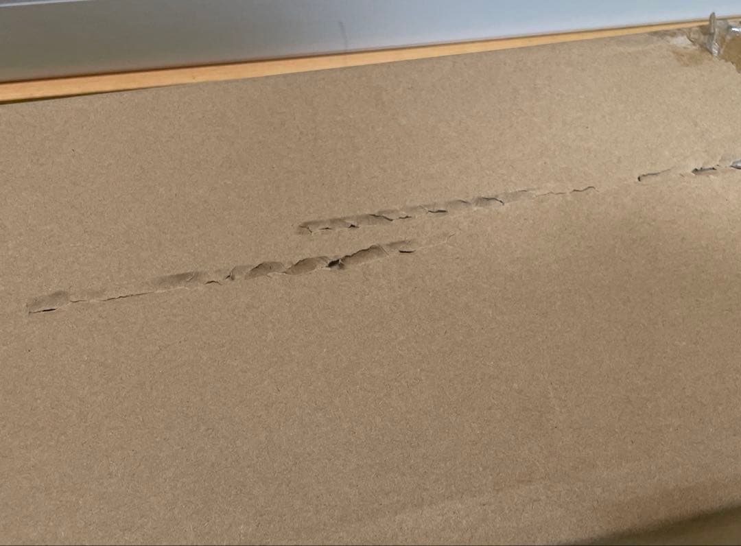 DODフタマタノキワミ新品