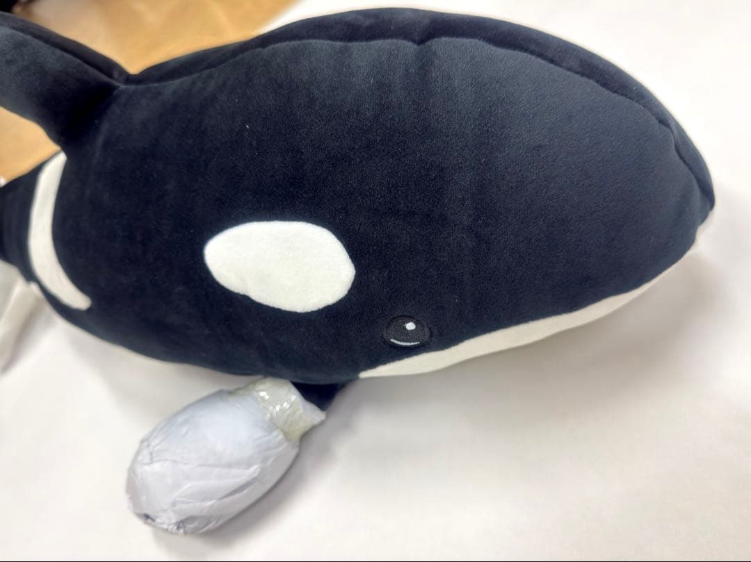 上海海昌海洋水族館 シャチ ぬいぐるみ 約60cm