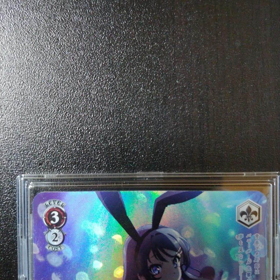 【希少】青ブタ 泡沫の存在 桜島麻衣 SP 海外Ver