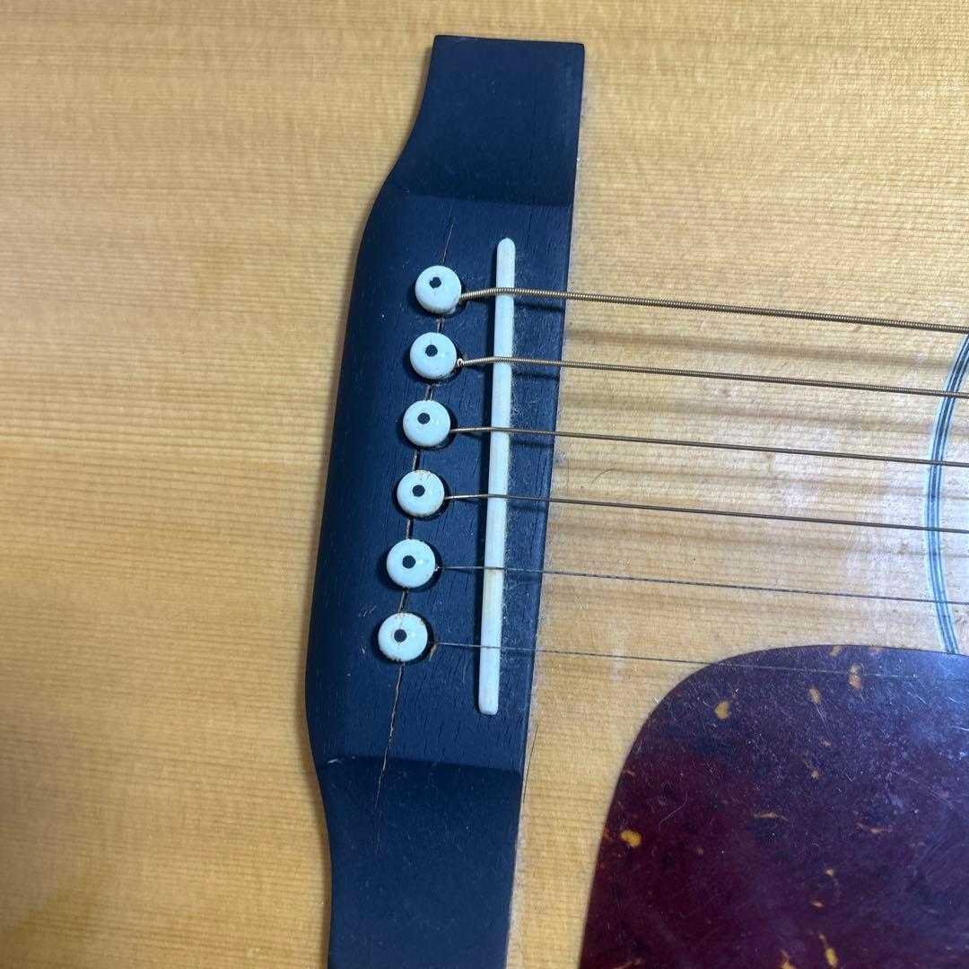 Morris MF-301 アコースティックギター