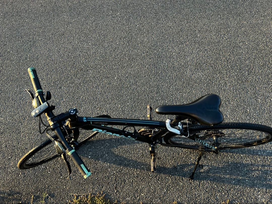 Bianchi （ビアンキ） CAMALEONTE1