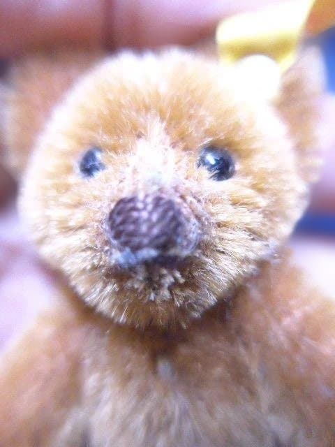 貴重なシュタイフ Steiff ミニ テディベア レッド ブラウン／8cm