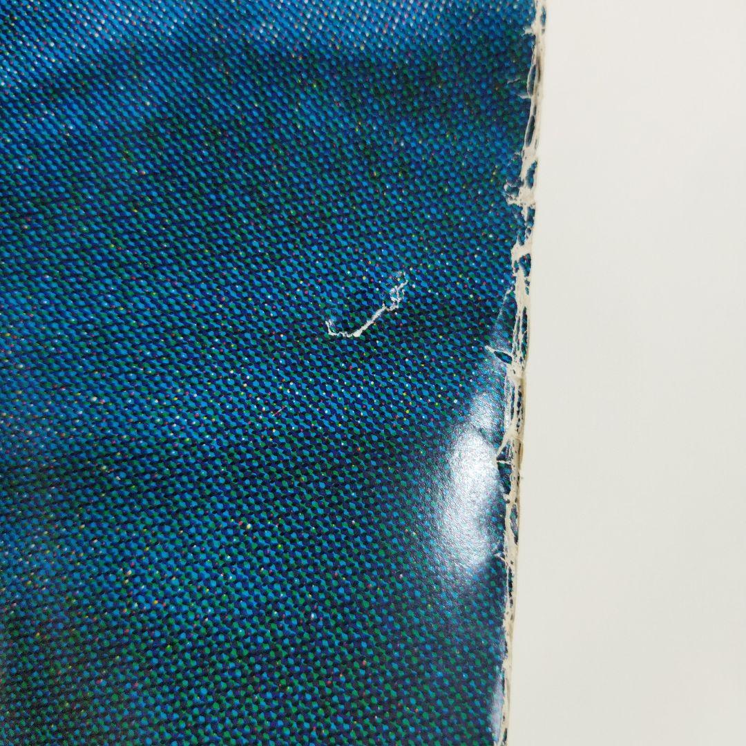 資生堂 　セリア・キャロン　特大ポスター この夏　その気