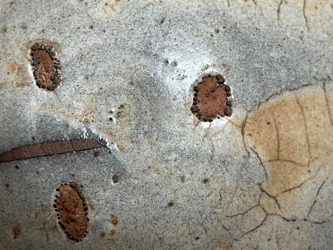 李朝時代粉青茶碗 ？箱付き