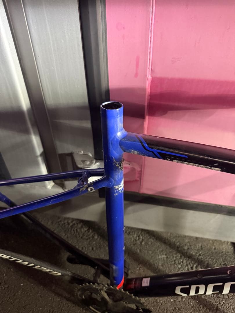 スペシャライズド ALLEZ ELITE QUICK STEP 54サイズ