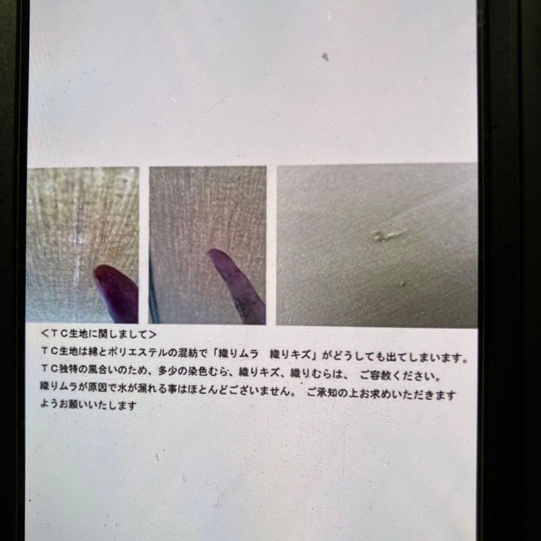 テンマク　ムササビウイング13ft TC 焚き火