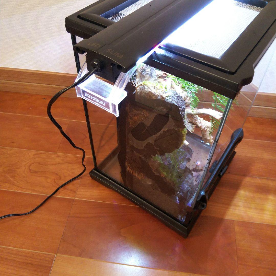 【受注生産】滝の流れるアクアテラリウム　テラリウム　苔　イモリウム