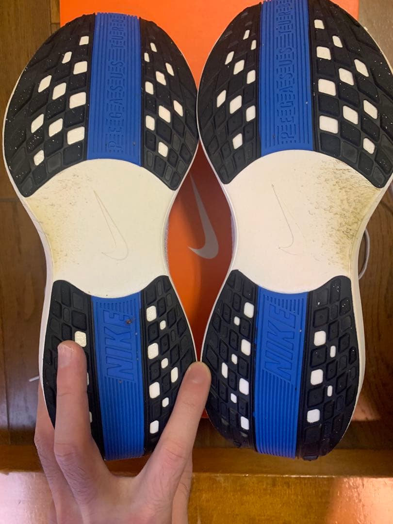 【最終値下済】NIKE ナイキ ペガサスプラス 29cm