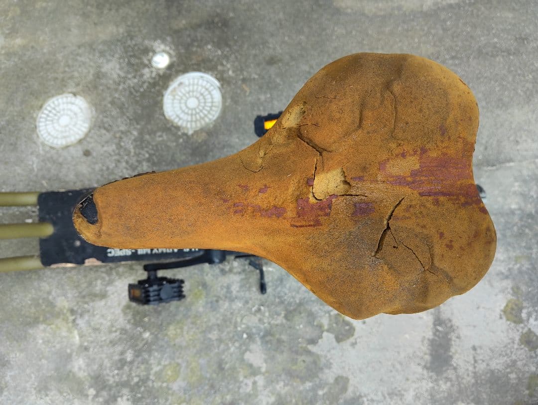 カリフォルニアン　スケーターバイク