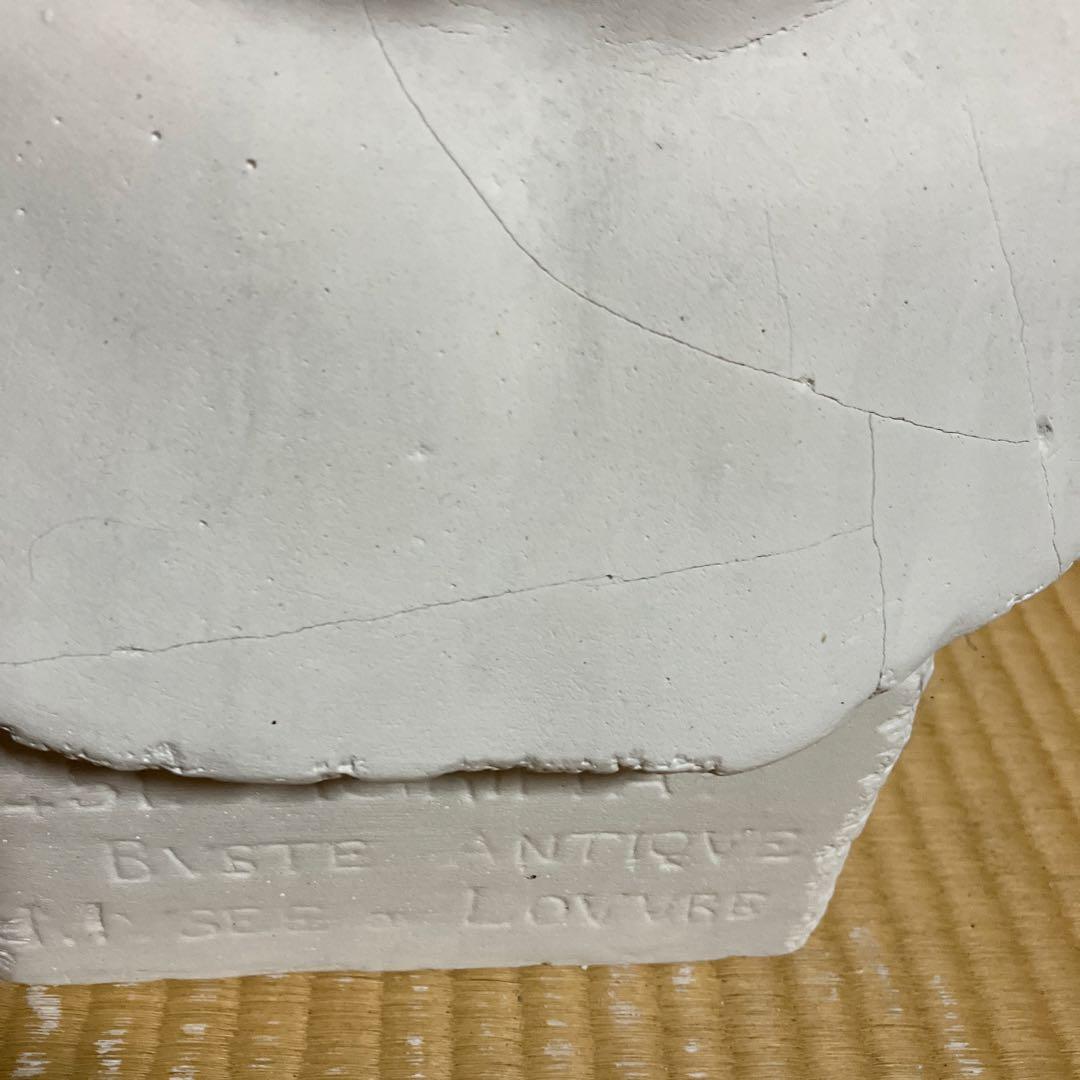 石膏像　アグリッパ　西洋彫刻