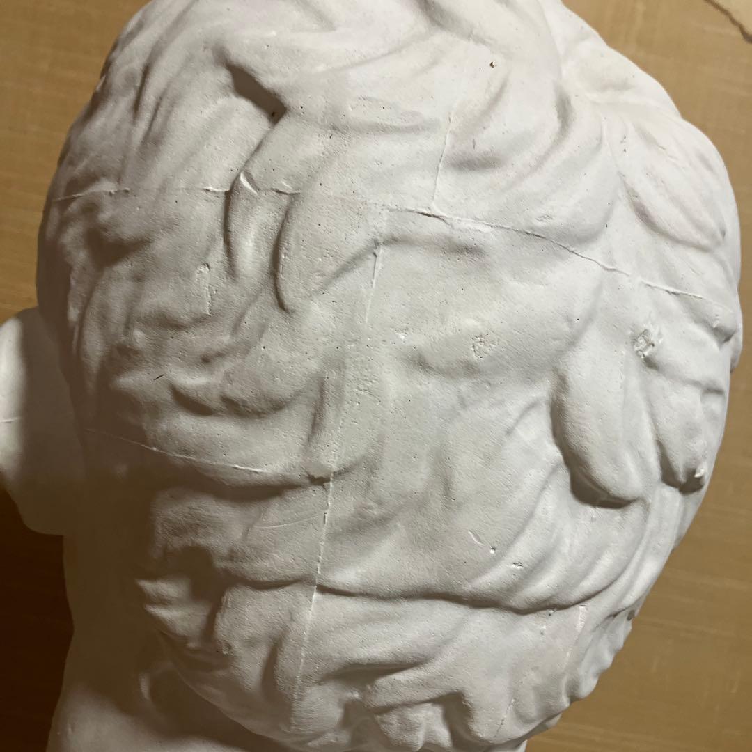 石膏像　アグリッパ　西洋彫刻