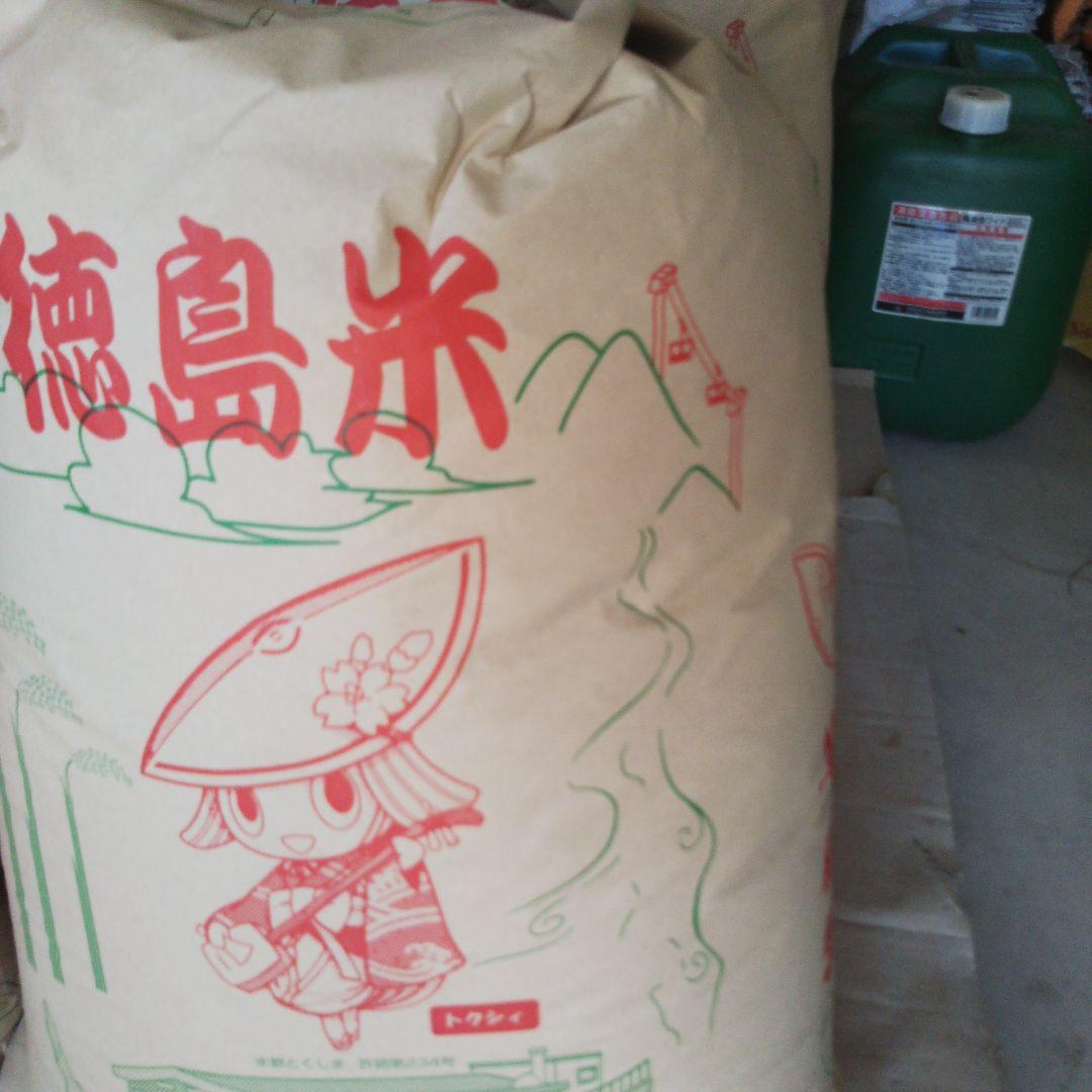 農家直送 令和6年産あきさかり10キロ