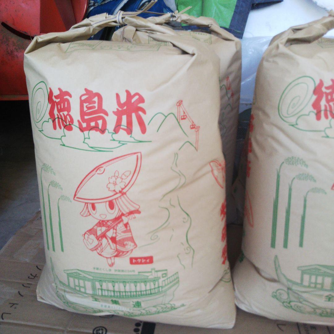 農家直送 令和6年産あきさかり10キロ