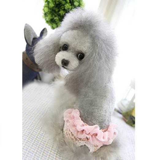 小型犬用 パンツ サイズS ウエスト約20cm(10cm伸びます)