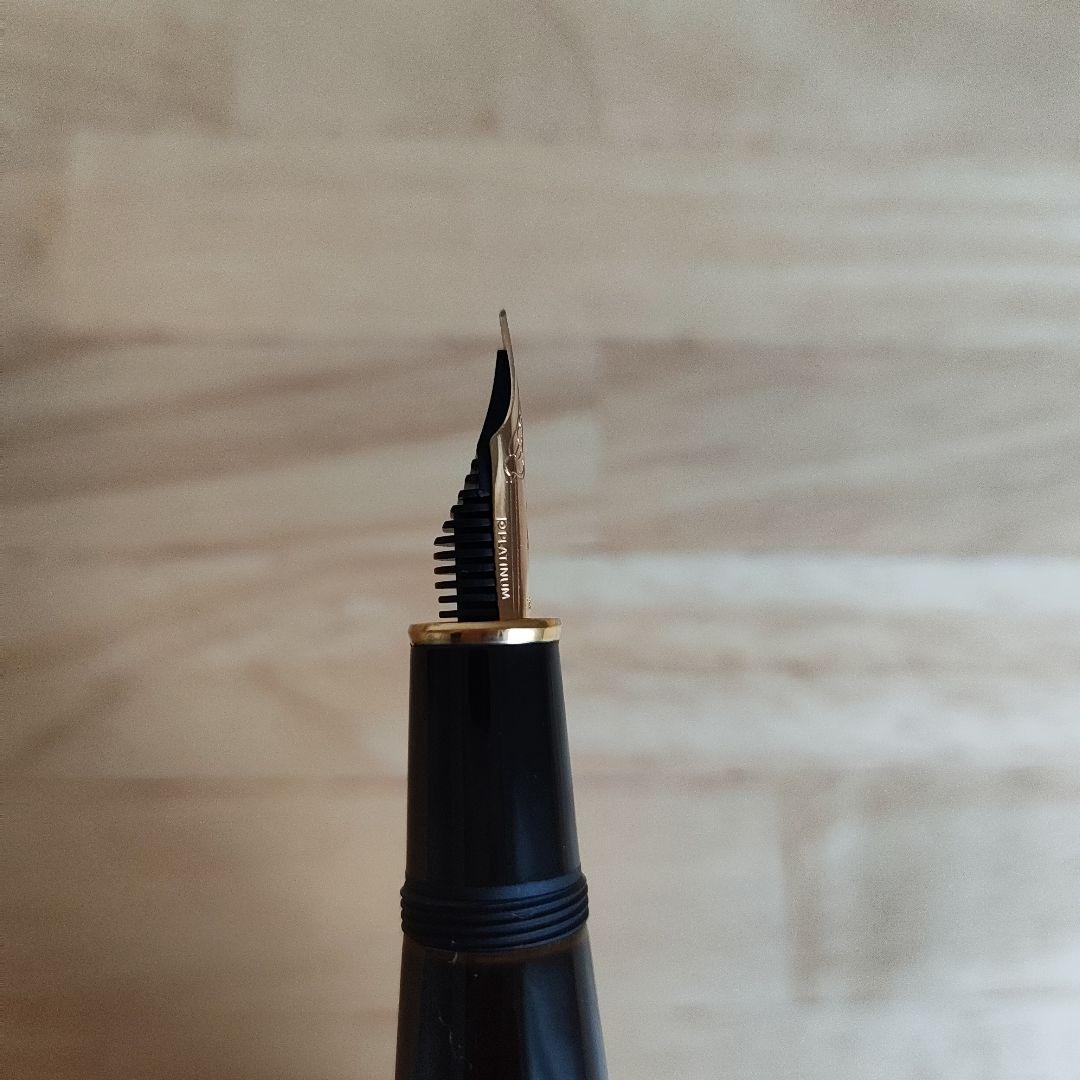 プラチナ万年筆 出雲 枇杷溜 F 細字 18K