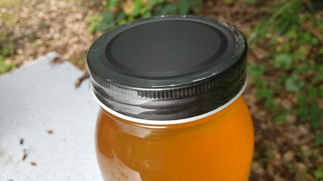 【養蜂家直送】 はちみつ 3kg 国産 天然 純粋 生蜂蜜 7月新蜜 夏の百花蜜