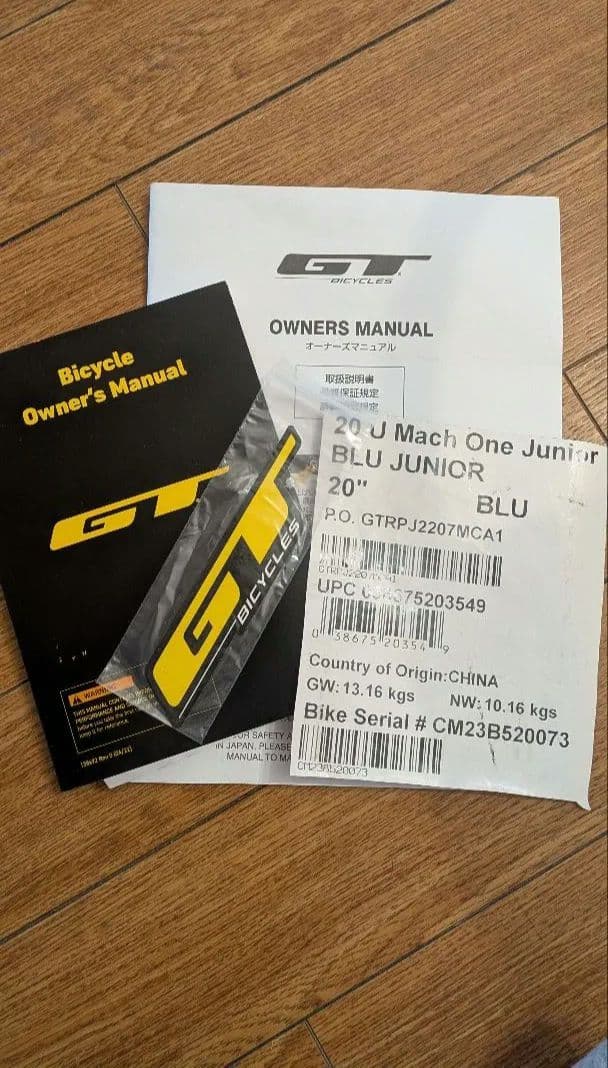 GT BMX キッズ　20インチ