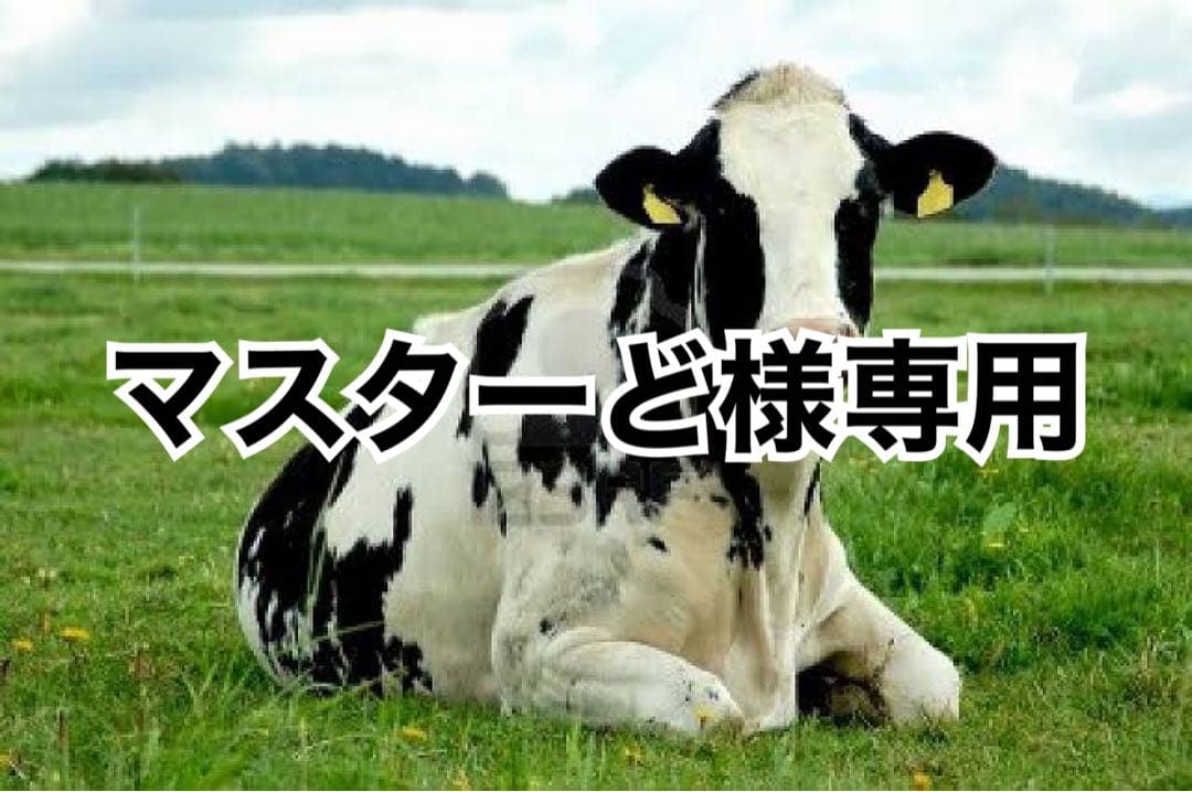 黒20、キャメル20