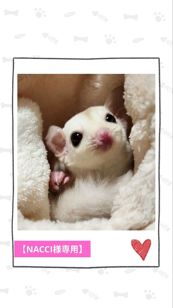 【NACCI】モモンガポーチ