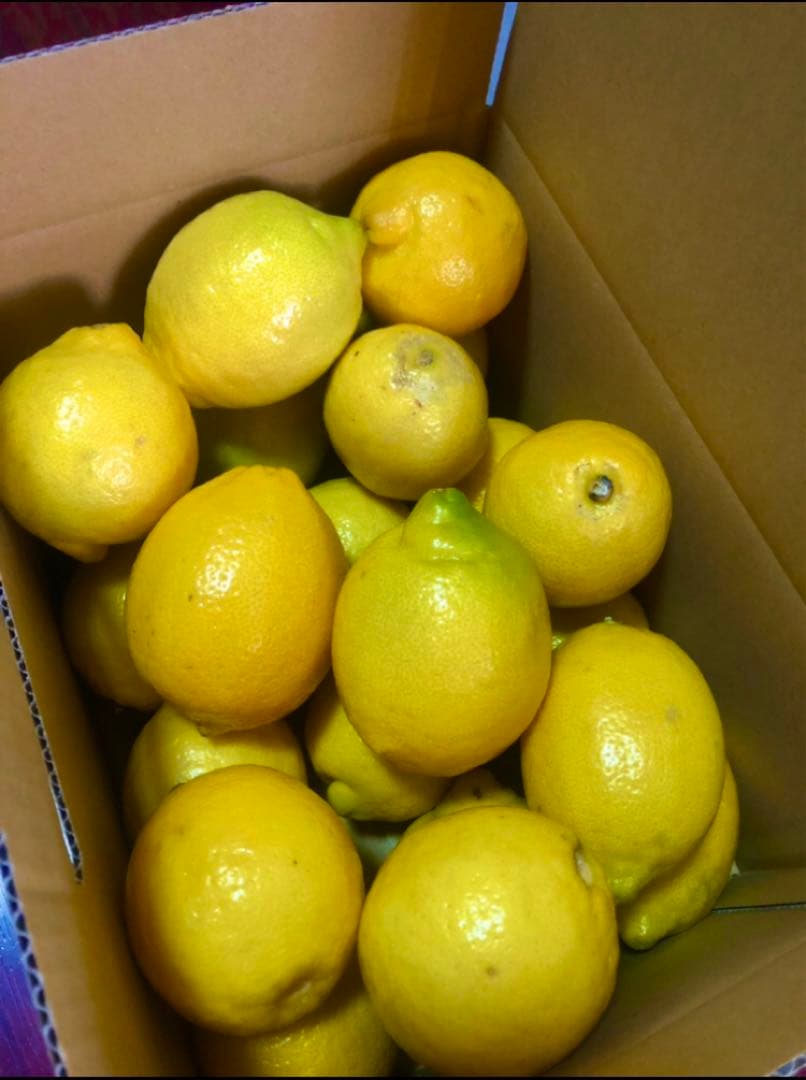 Ⅲ国産瀬戸内レモン10Kg