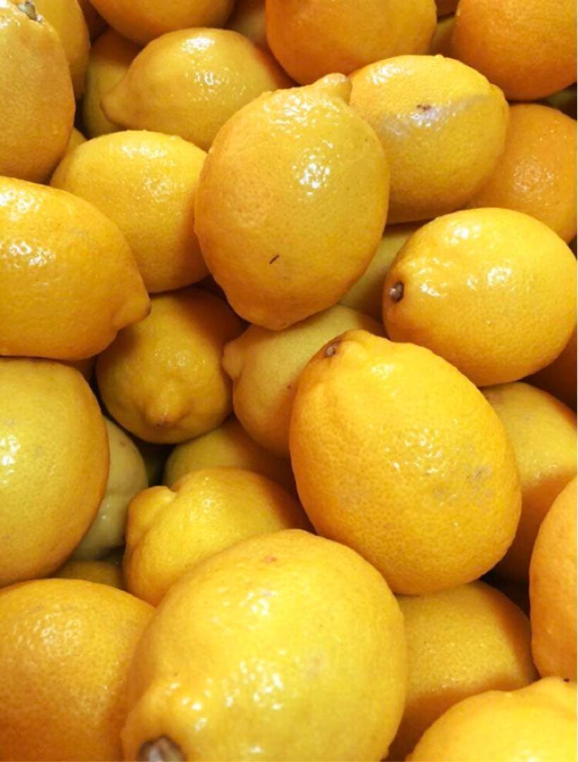 Ⅲ国産瀬戸内レモン10Kg