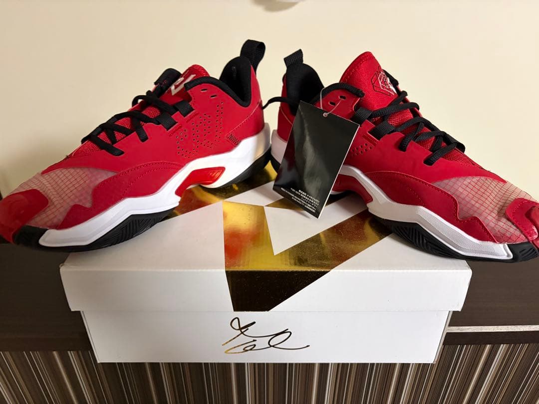 【未使用】AIR JORDAN RETRO MAX LOW G 25.5cm