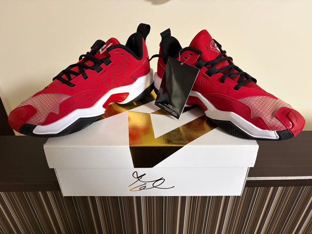 【未使用】AIR JORDAN RETRO MAX LOW G 25.5cm