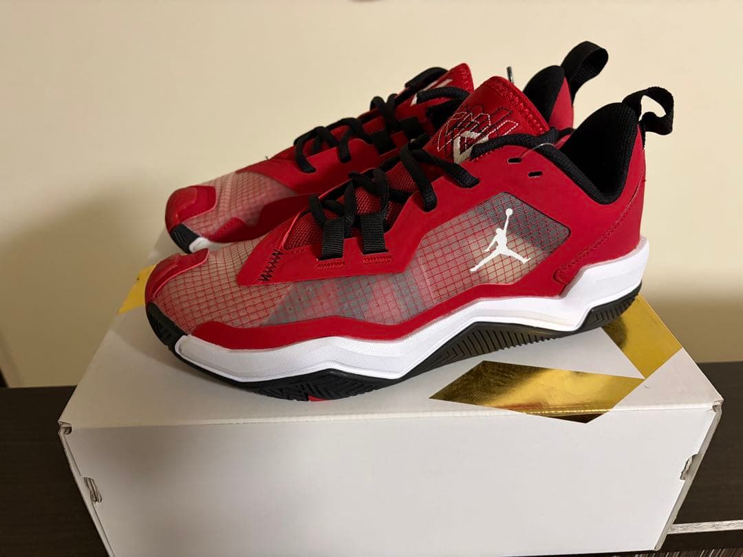 【未使用】AIR JORDAN RETRO MAX LOW G 25.5cm