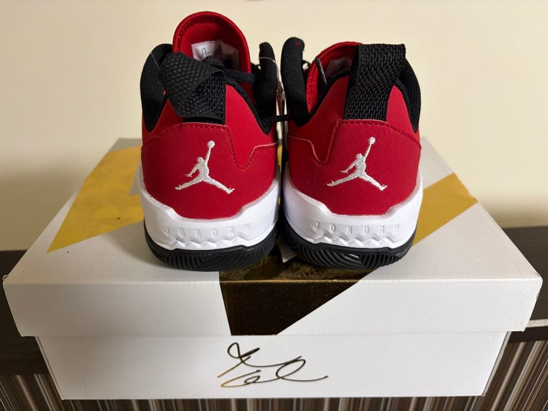 【未使用】AIR JORDAN RETRO MAX LOW G 25.5cm