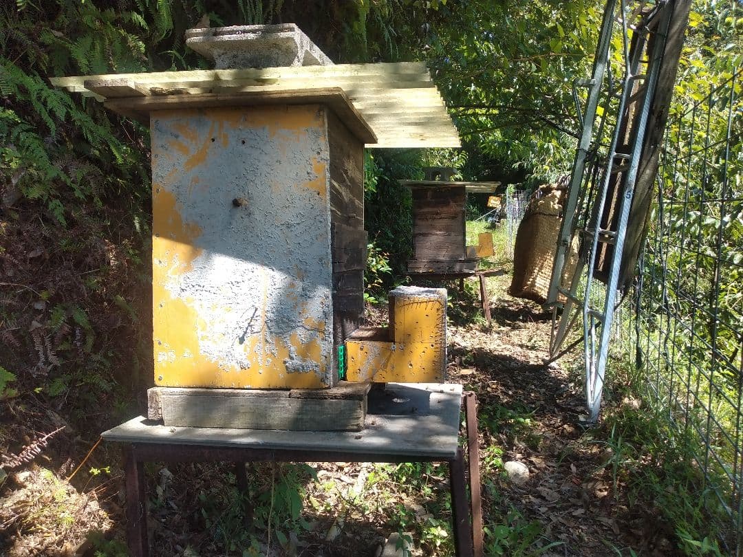 国産純粋日本蜂蜜、百花蜜、愛媛県産、600g×2本