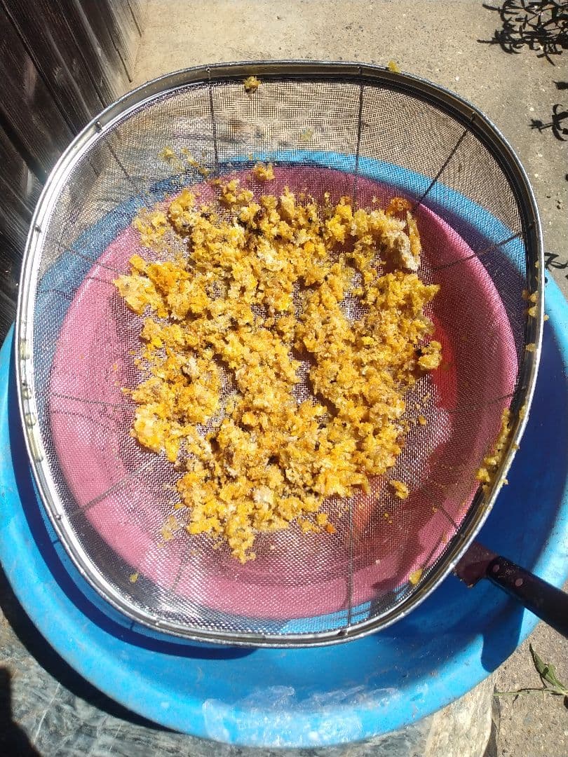 国産純粋日本蜂蜜、百花蜜、愛媛県産、600g×2本