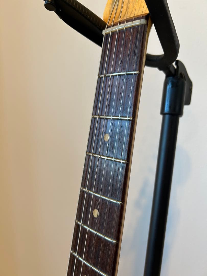 Vanzandt STV-R2 マダガスカルローズ指板