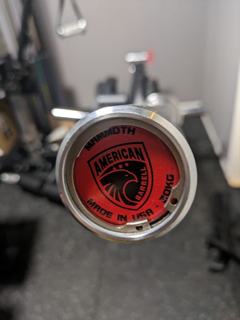 アメリカンバーベル　マンモスパワーバー