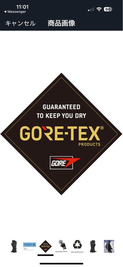 DAKINE スキーグローブ ブラック titan goretex xl