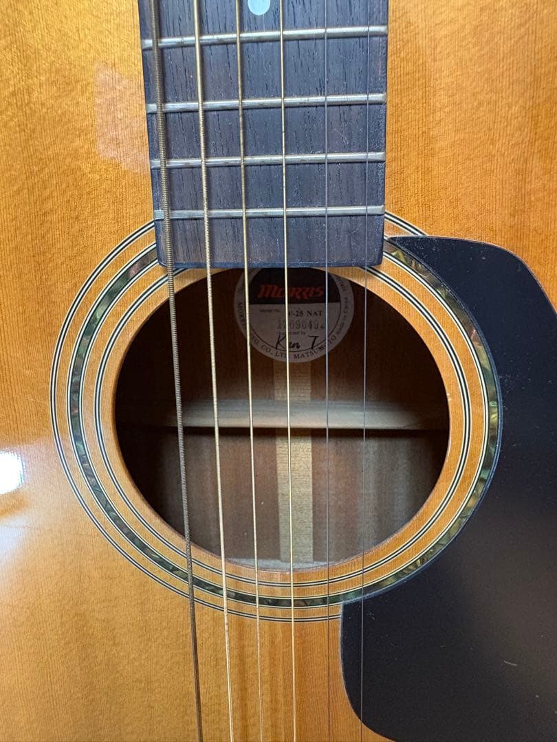 Morris F-25 アコースティックギター