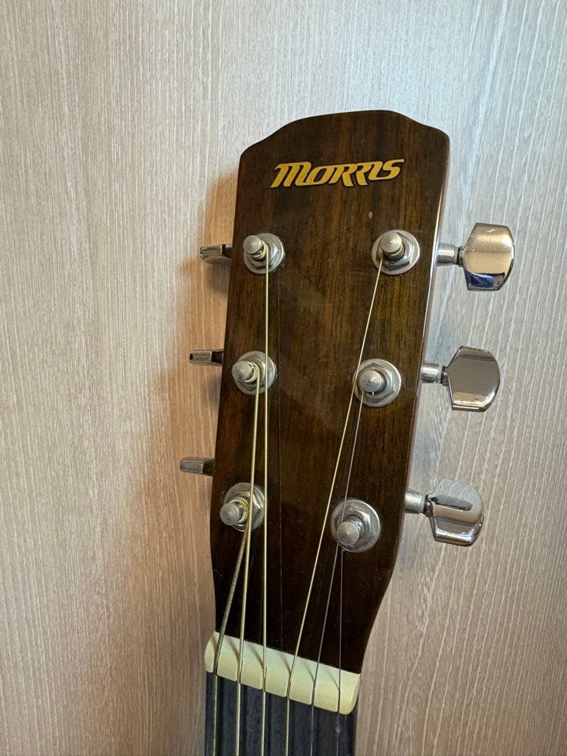 Morris F-25 アコースティックギター